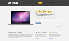 Leverage