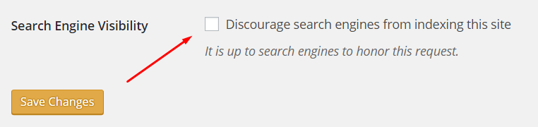 search-engine-visibility