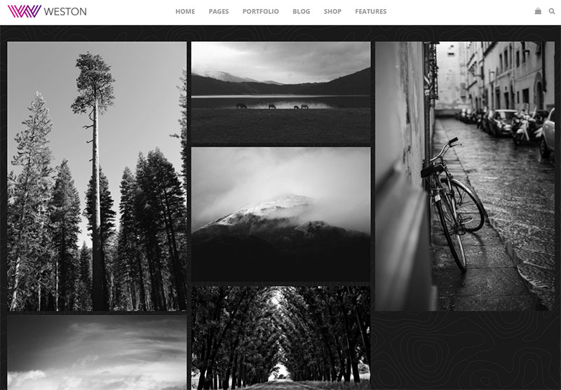 weston theme wordpress